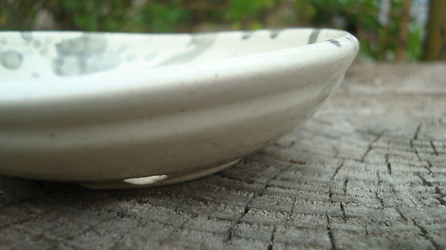 Skvrnitý mýdelník — foto 1