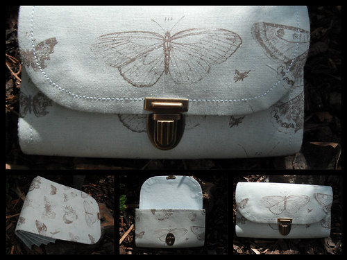 Papillon-motýly — foto 1