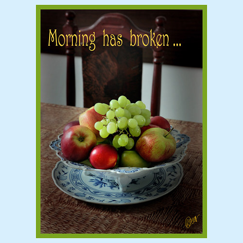 MORNING HAS BROKEN 0022S - 4964 — foto 1