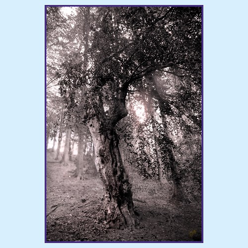 VE SLUNCI 0030 - 5171
