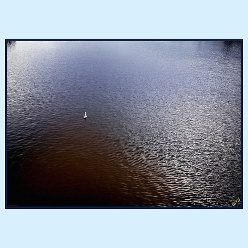 OSAMĚNÍ 0032 - 9481