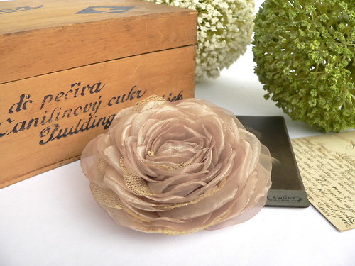 Where the wild roses grow — foto 1