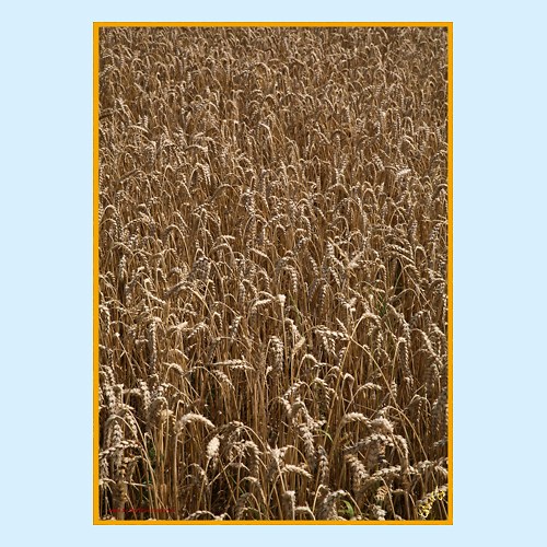 JISTOTA 0047 - 5168