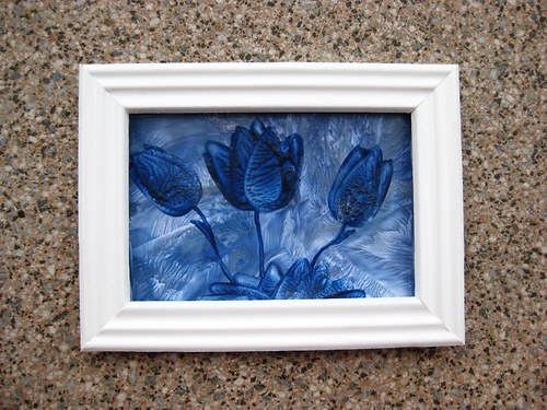 Modré tulipány