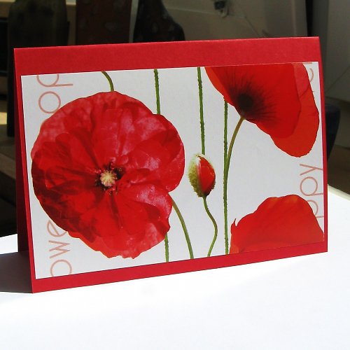 Poppy Flower - Přání — foto 1