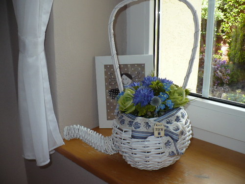 Konývka, modro zelená — foto 1
