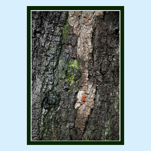 CESTA VZHŮRU 0129 - 8622