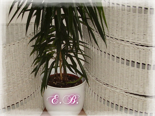 Košíky do rohu v bílém...... — foto 1