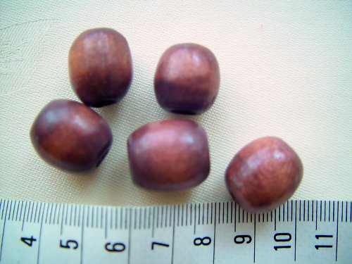 Dřevěné velké korále — foto 1