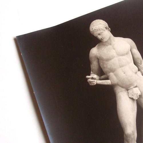 SOCHA V. - fotografie č. 1557