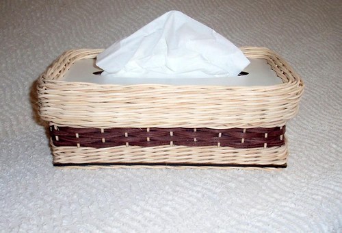 Kapesníkovník — foto 1