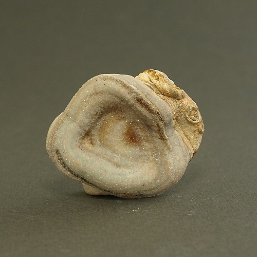 Chalcedon (kamenná růže) — foto 1