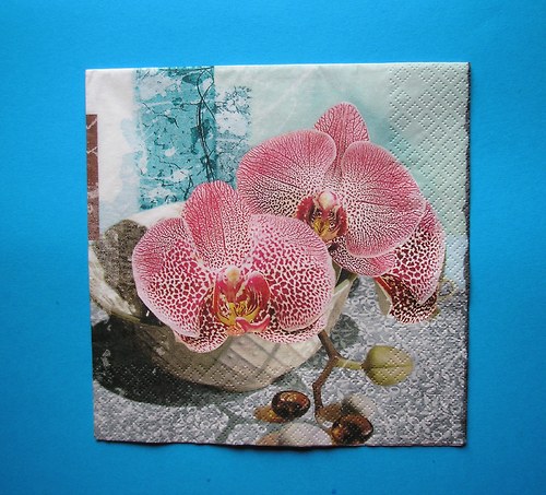 Orchideje — foto 1