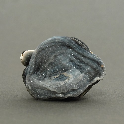 Chalcedon (kamenná růže) — foto 1