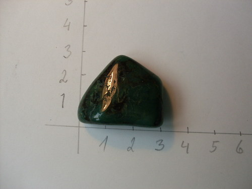 Heliotrop — foto 1