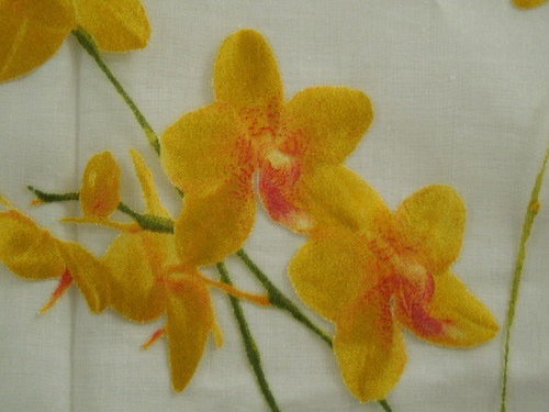 Záclonka-orchideje