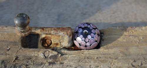 Fialová fialová — foto 1