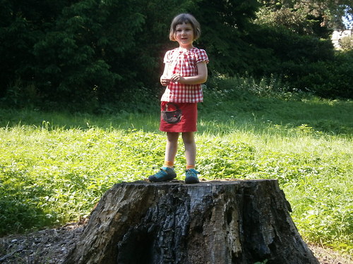 Pro Karkulku - s hračkami — foto 1