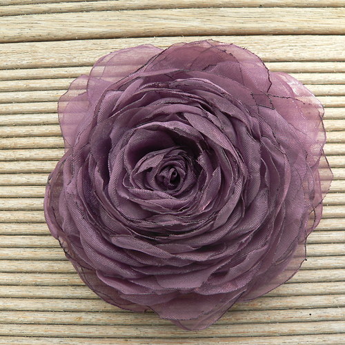 Where the wild roses grow — foto 1