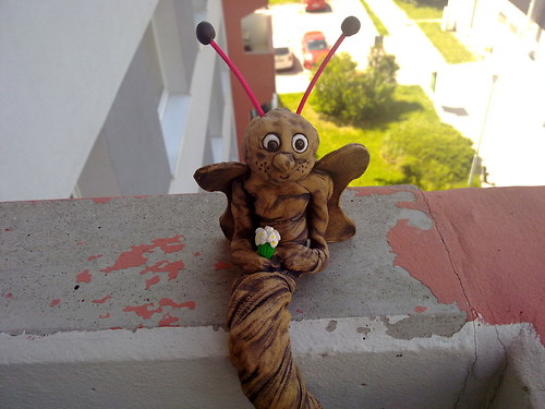 Čekající motýl — foto 1