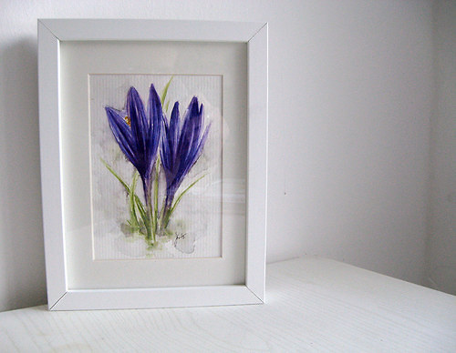 Crocus - originál akvarelu — foto 1