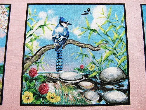 Sojka - obrázkový panel — foto 1