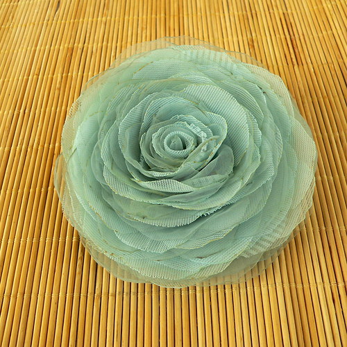 Where the wild roses grow — foto 1