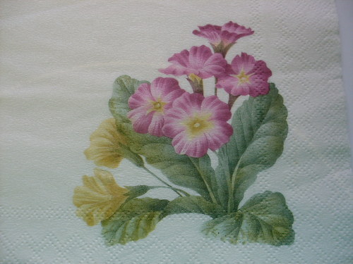 Ubrousek 39 — foto 1