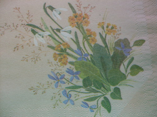 Ubrousek 51 — foto 1