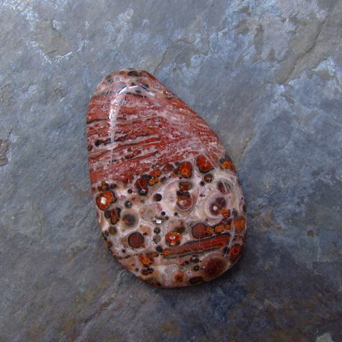 Jaspis Leopardí — foto 1