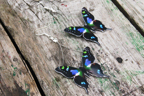 Graphium Weiskei — foto 1