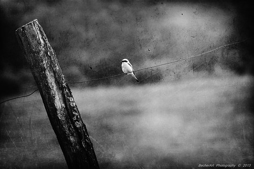 Waiting III