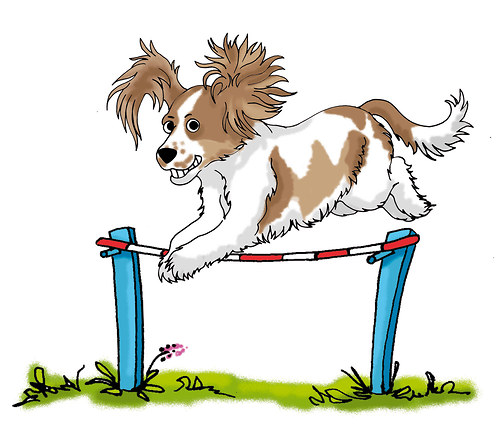 Agility - Maggie — foto 1