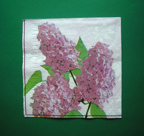 Šeříky — foto 1