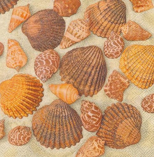 Ubrousek - mušličky — foto 1