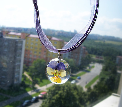 Maceškový náhrdelník — foto 1