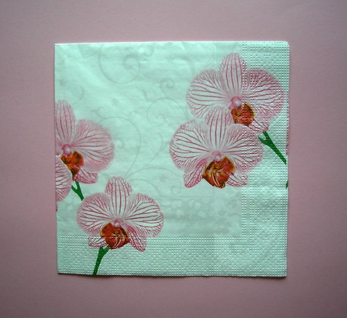 Orchidej — foto 1