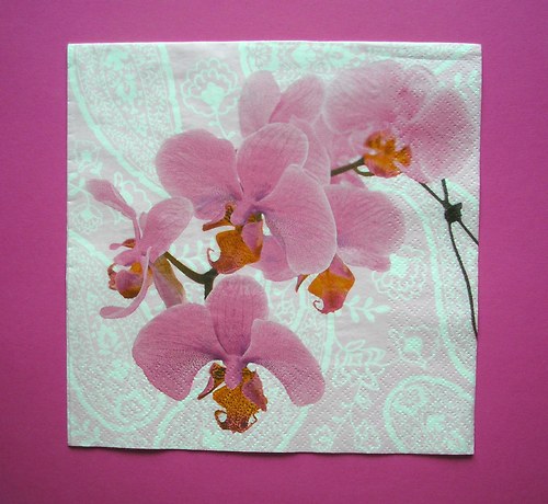 Orchidej — foto 1