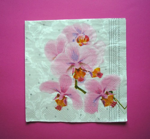 Orchidej — foto 1
