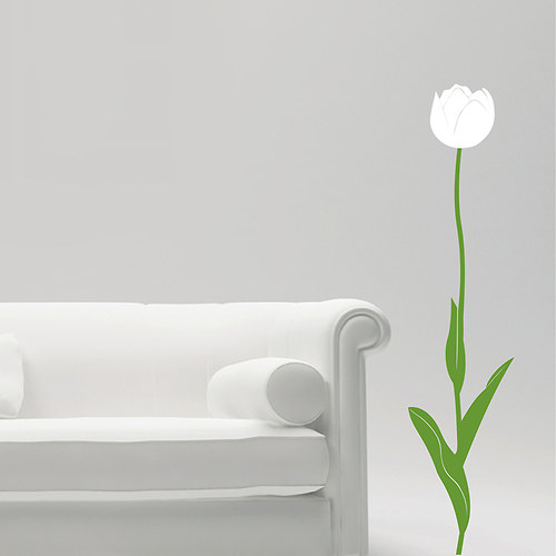 Tulipán — foto 1
