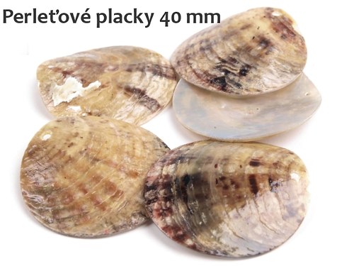 Perleťové placky 40 mm, 2 ks — foto 1