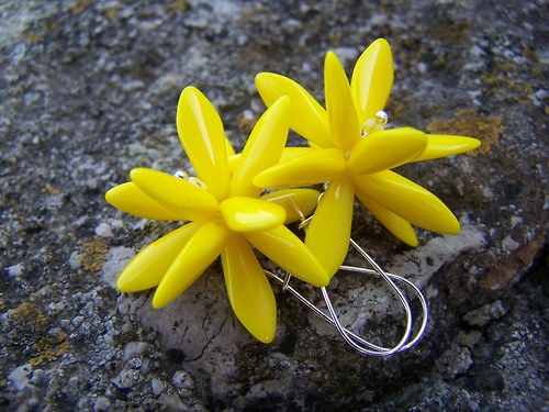 Dandelion - pampeliška — foto 1