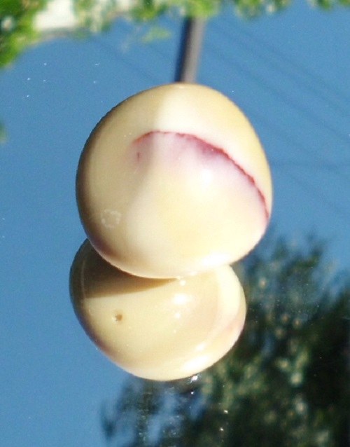 Jaspis Mookait (MA012) — foto 1