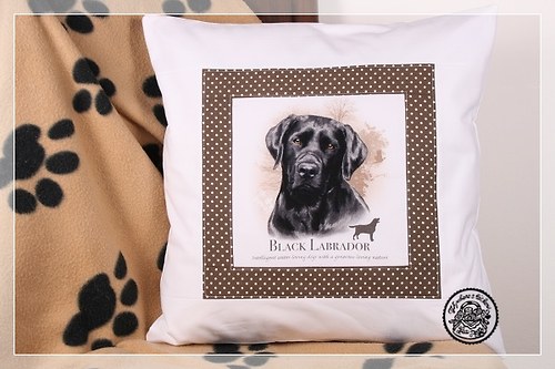 POLŠTÁŘE - CHLUPATÉ ŠTĚSTÍ - ČERNÝ LABRADOR — foto 1