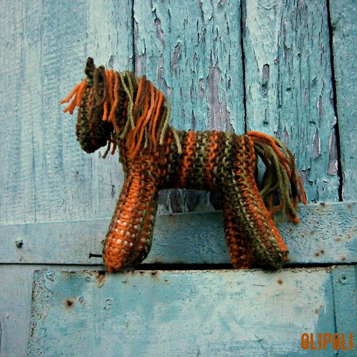 Koník Pumpkin — foto 1