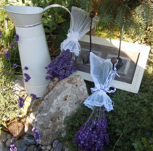 Levandulové voničky — foto 1