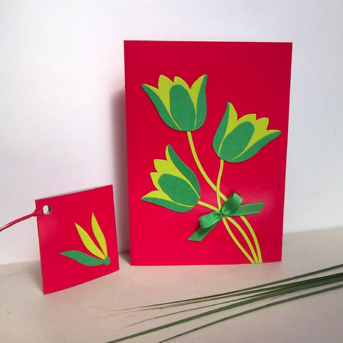 V hlavní roli tulipán — foto 1