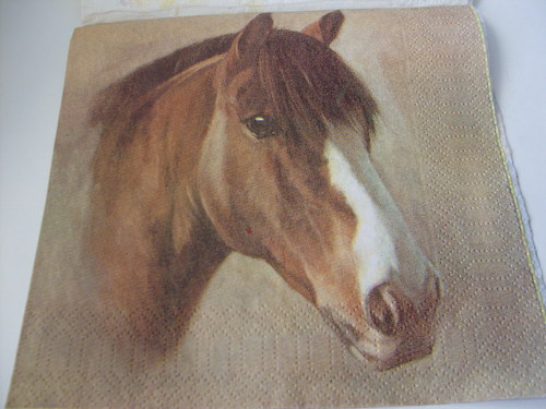 Ubrousek 285 — foto 1
