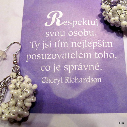 Respekt — foto 1