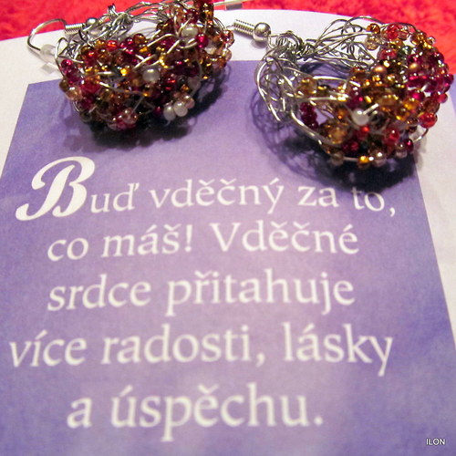 VDĚK — foto 1